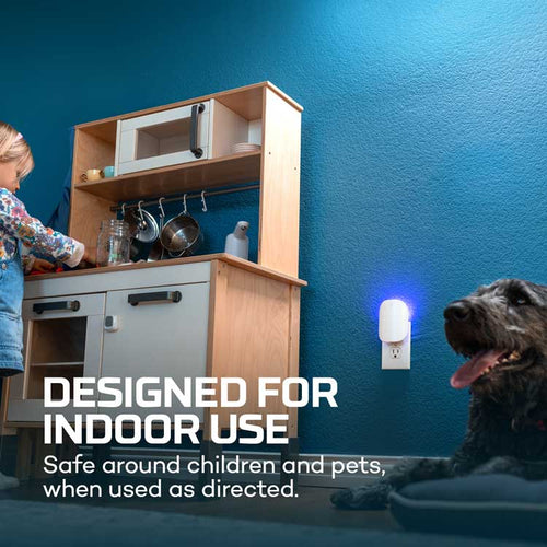 NEBO Flying Insect Trap Starter Kit