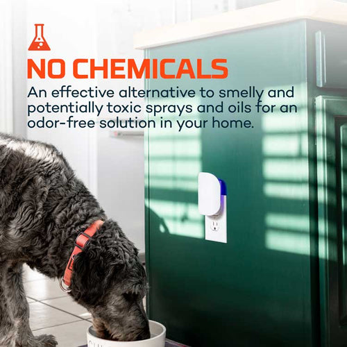 NEBO Glue Card Refills