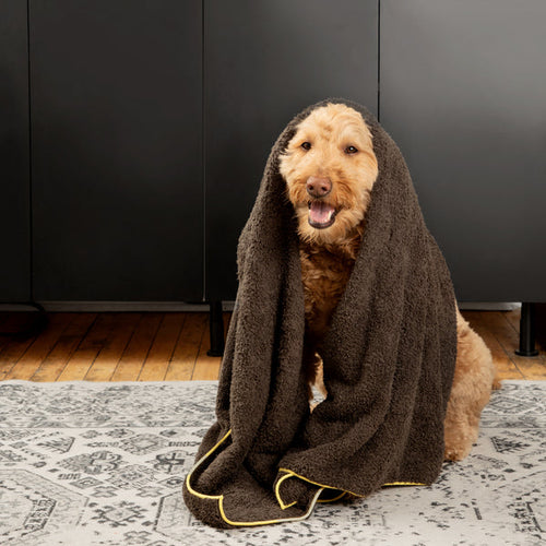 E-Cloth Pet Cleaning & Drying Towe