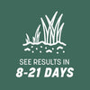 Pennington Kentucky 31 Tall Fescue Grass Seed