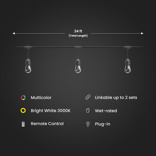 Feit Electric 24 ft. Color Changing Filament LED String Light with Remote