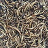 Buffalo Tools Dried Mealworms for Chickens, Wild Birds, Ducks
