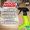 MOLD ARMOR Rapid Clean Remediation – 32oz. Spray Bottle