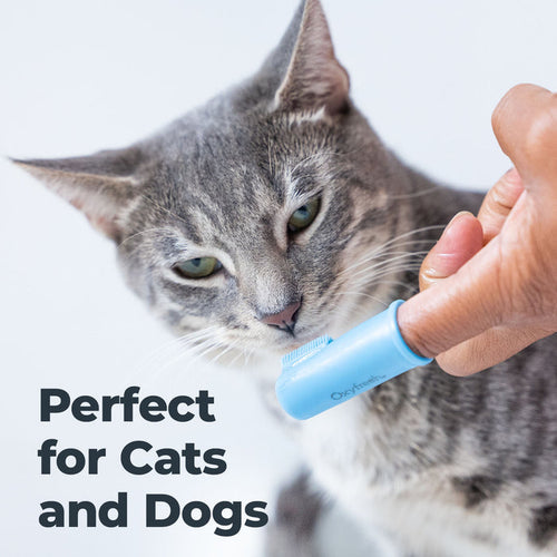 Oxyfresh Premium Pet Toothbrush Set - 6 Super Soft Finger Brushes