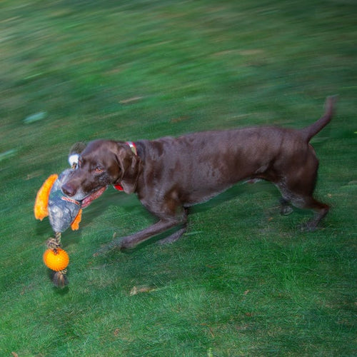 PetEdge Mossy Oak Pheasant Ball and Rope Tug Bird Dog Toys