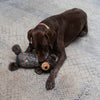 PetEdge Mossy Oak Ballistic Body Dog Toys