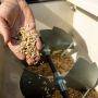 Anilogics CRUSH® Granular Attractant (Copy)