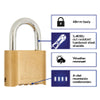 Brinks® 2in. (50 mm) Solid Brass 4-Dial Resettable Combination Padlock