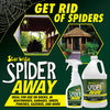 Star Brite Spider Away