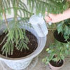 Valley Industries Multi-Purpose Measuring Pitchers