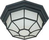 Satco 60-3450 1 LT 12 Spider Cage Ceiling