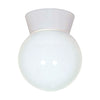Satco SF77-532 1 Light Utility Ceiling Mount