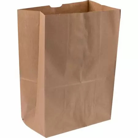 Duro Sacks Virgin Natural Kraft 1/6 BBL 12 x 7 x 17