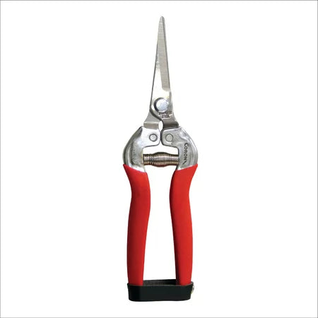 Corona Clipper AG 4930SS Stainless Steel Long Straight Snip