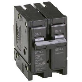 Interchangeable Circuit Breaker, Double Pole, 100-Amp