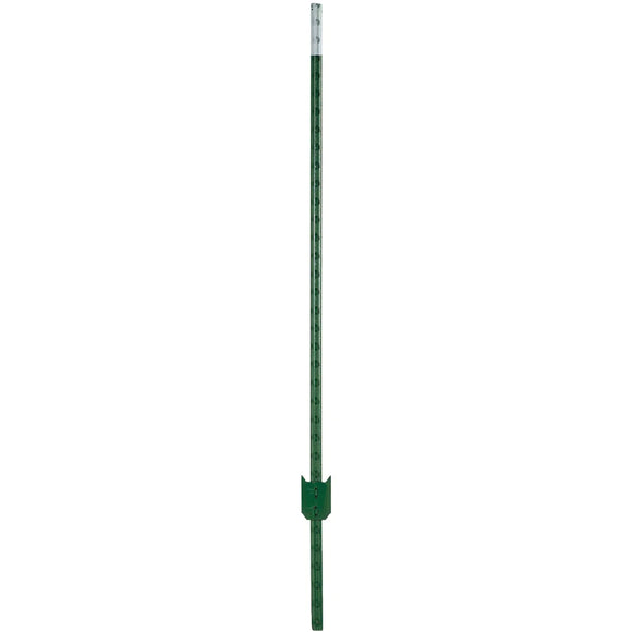 W Silver Inc 8' 1.25 Green Stl T-Post (Pack of 5 )