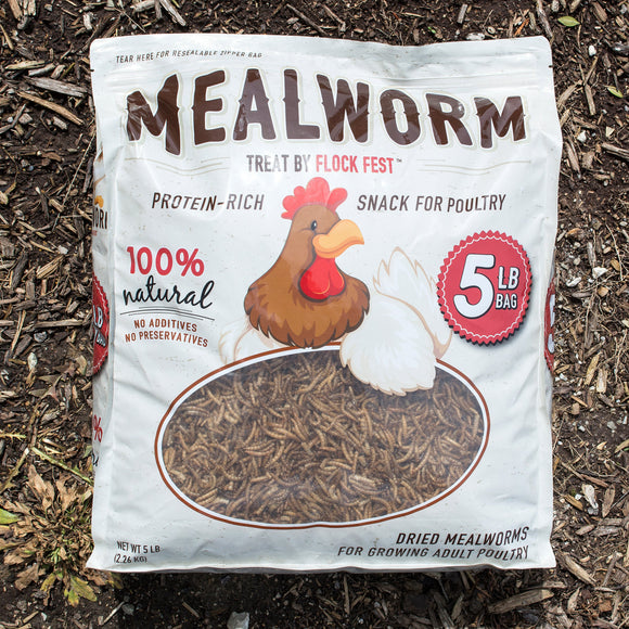 Buffalo Tools 5 Lb Bag Dried Mealworms for Chickens, Wild Birds, Ducks
